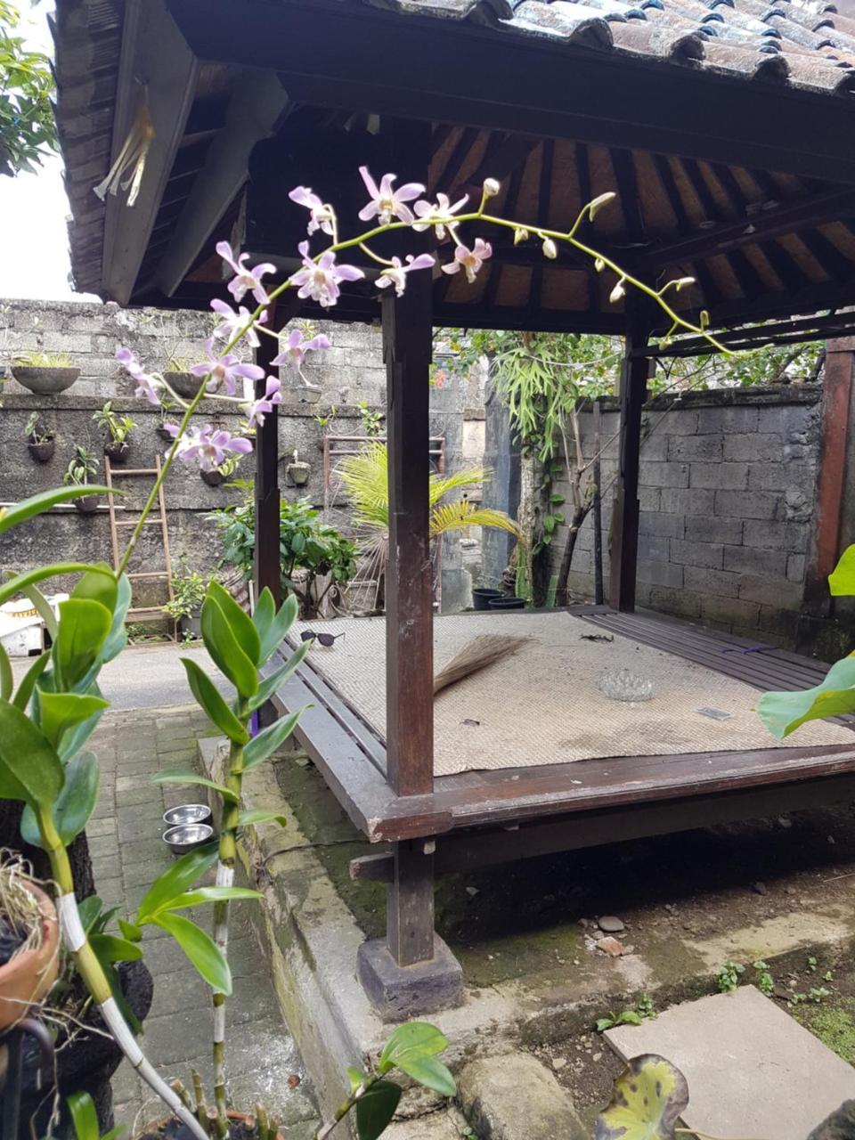 Mawar Homestay Canggu Eksteriør billede
