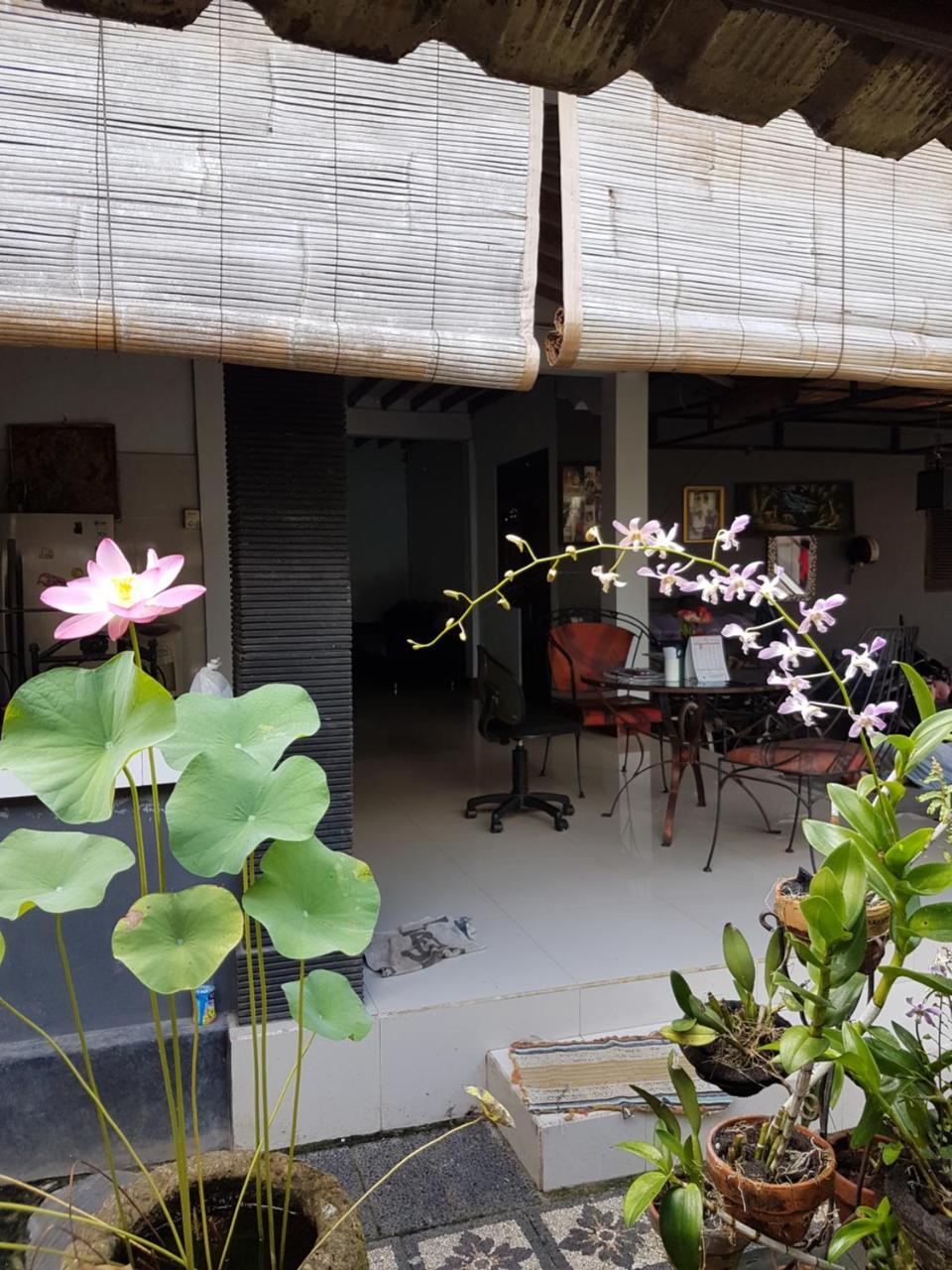 Mawar Homestay Canggu Eksteriør billede