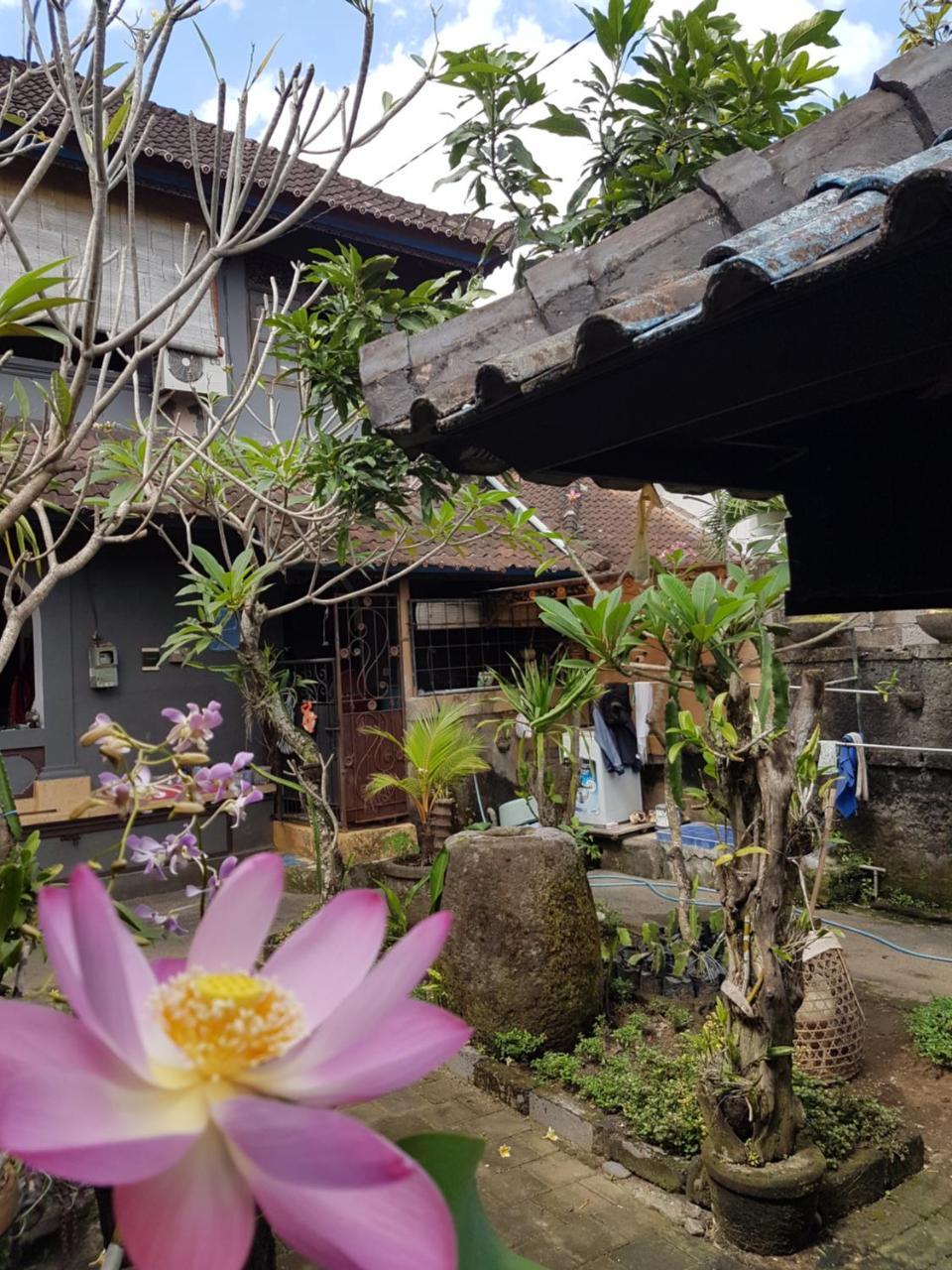 Mawar Homestay Canggu Eksteriør billede